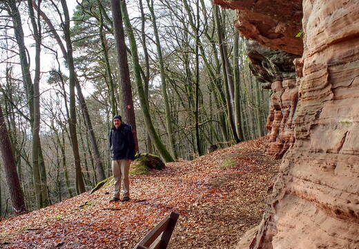 IMG 20190118 131132558 HDR
